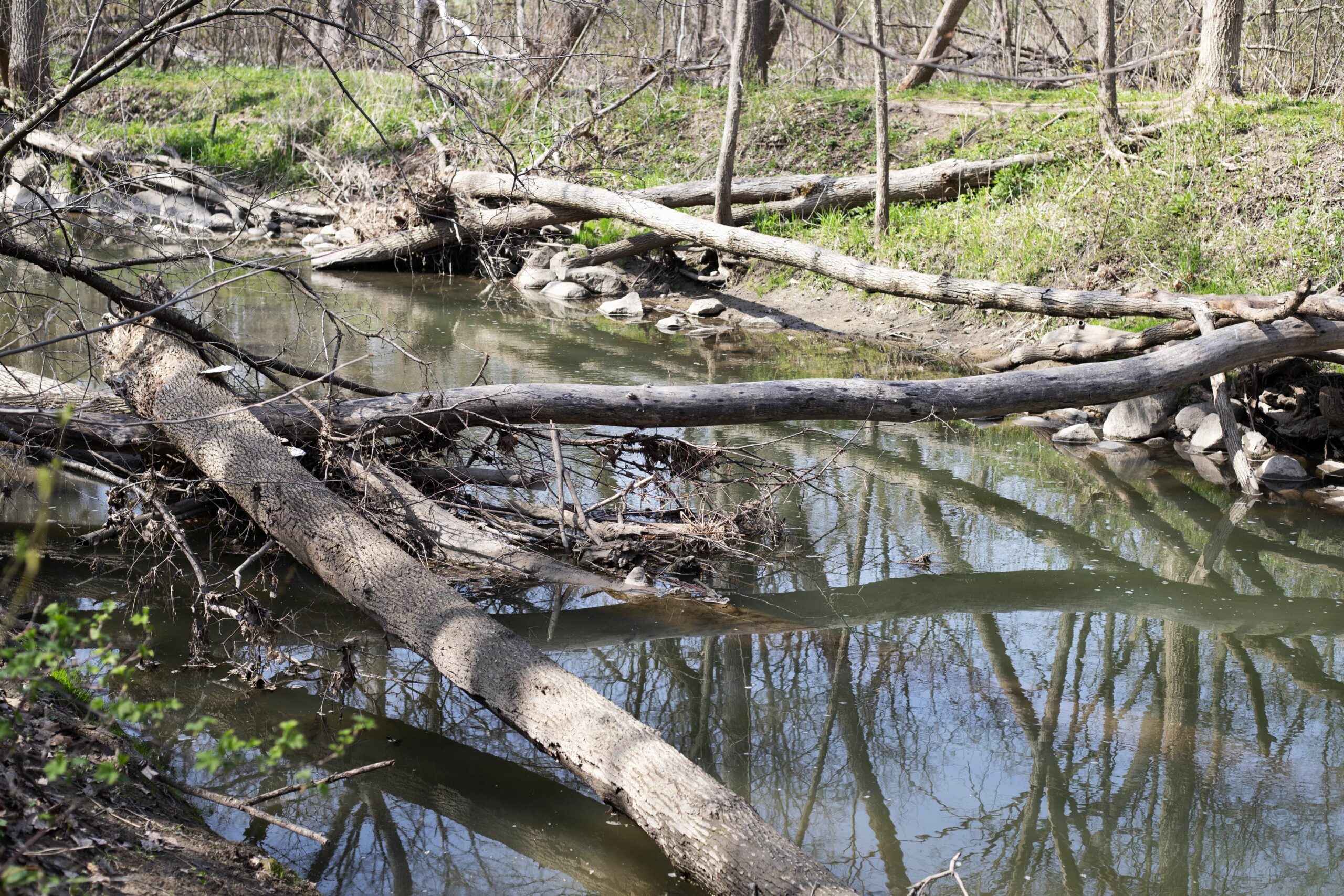 Kenosha County receives Great Lakes Restoration Initiative grantfor Pike River Phase III project