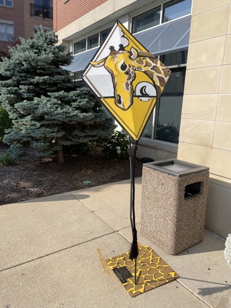 nicole zimmer.JPEG Nicole zimmer.