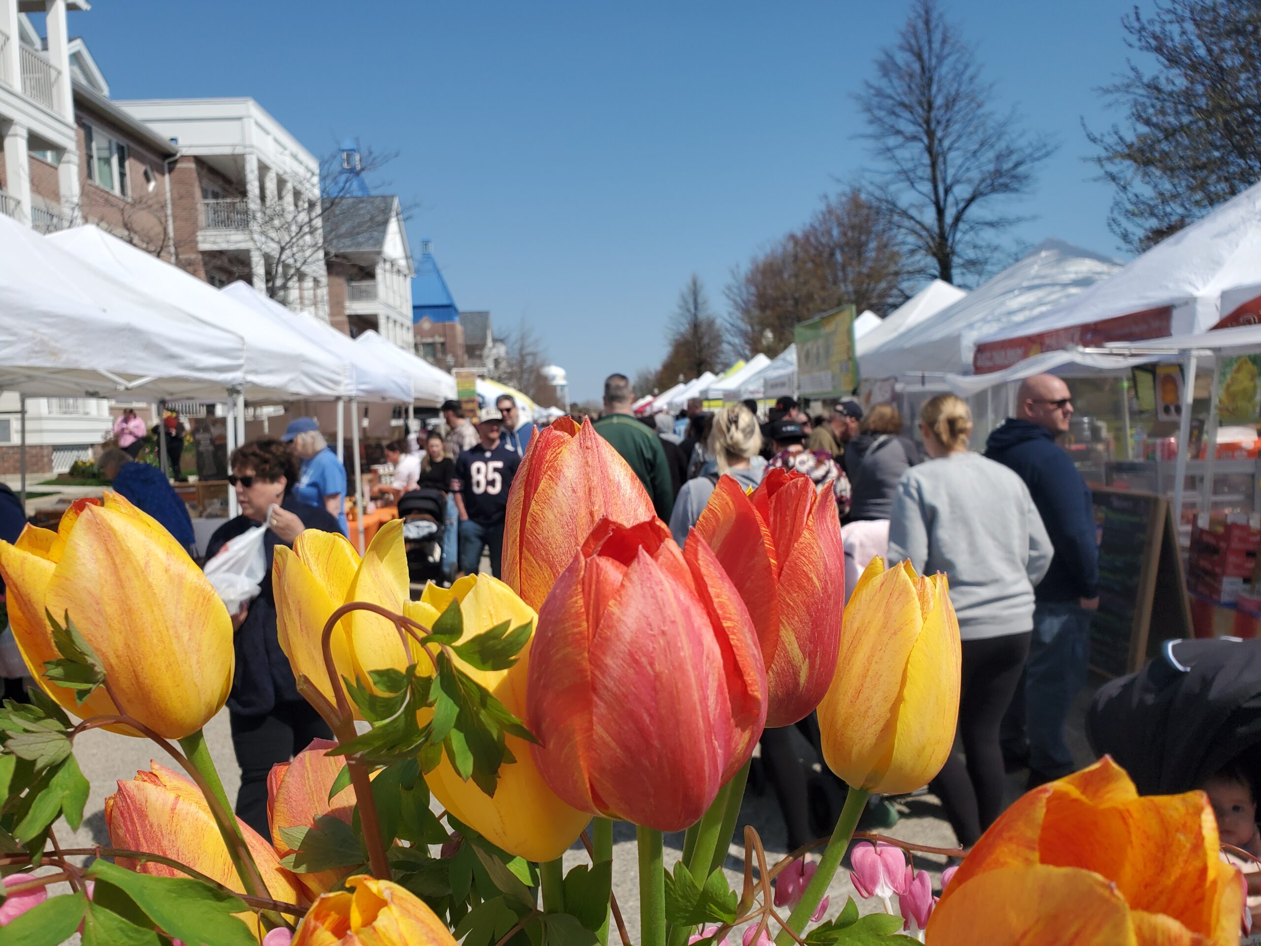 Kenosha HarborMarket opens 24th season on May 2nd in same iconic location since 2003