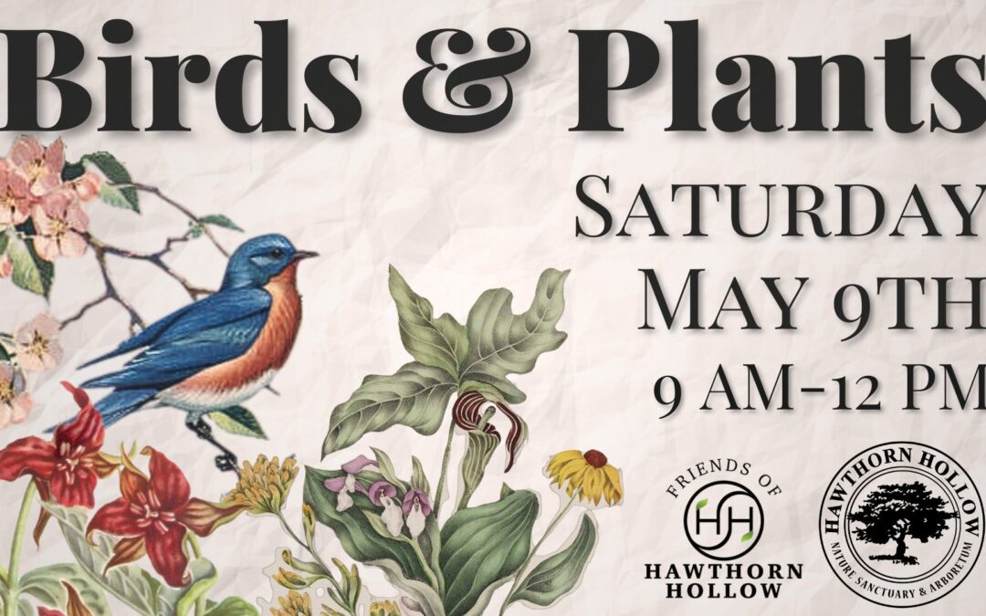 HAWTHORN HOLLOW ACCEPTING PLANT DONATIONS STARTINGON FRIDAY April 24 FOR BIRDS & PLANTS FUNDRAISER